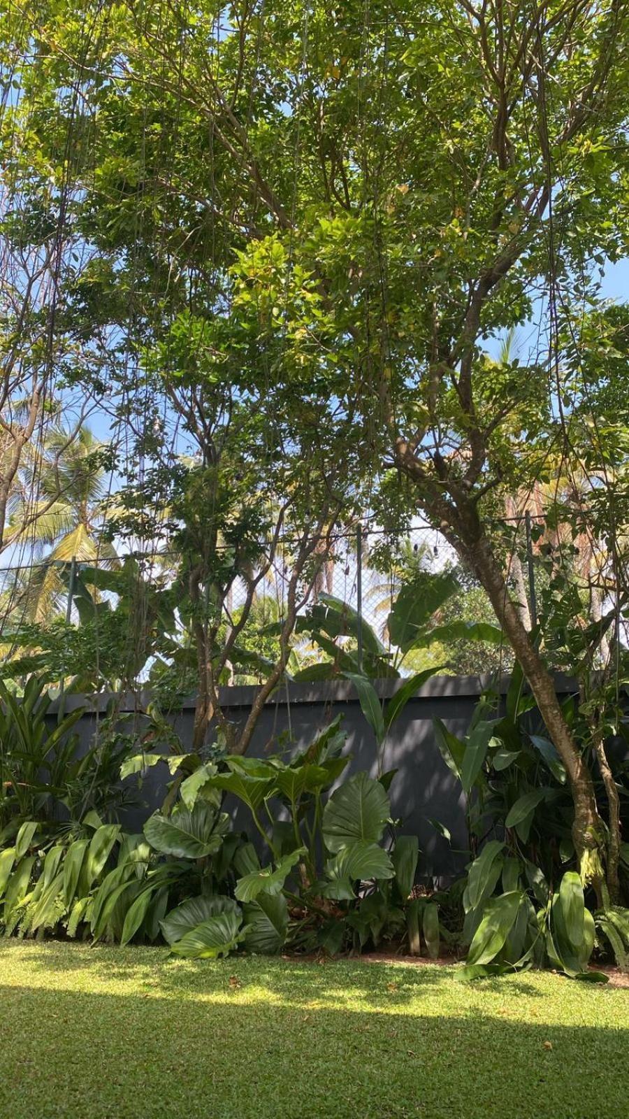 Lush Ayu Villa Ja-Ela Exteriér fotografie